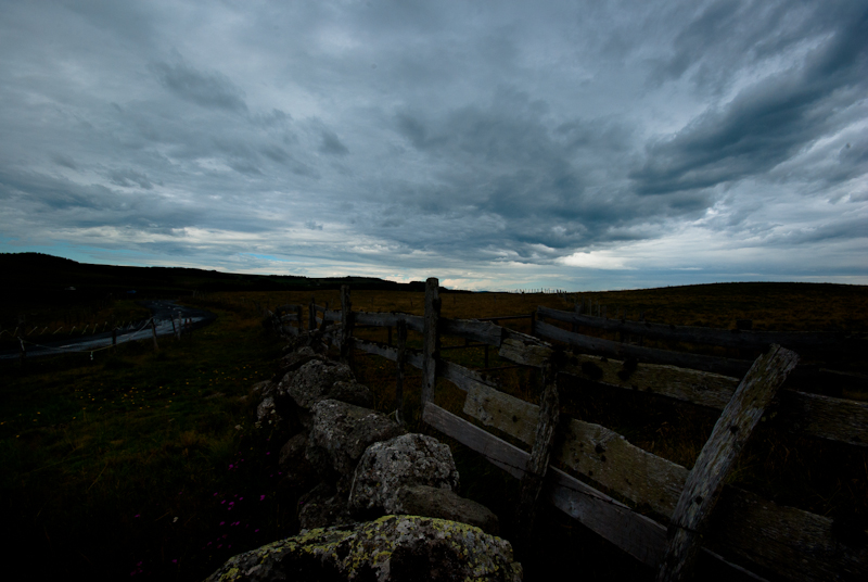 Aubrac (4).jpg